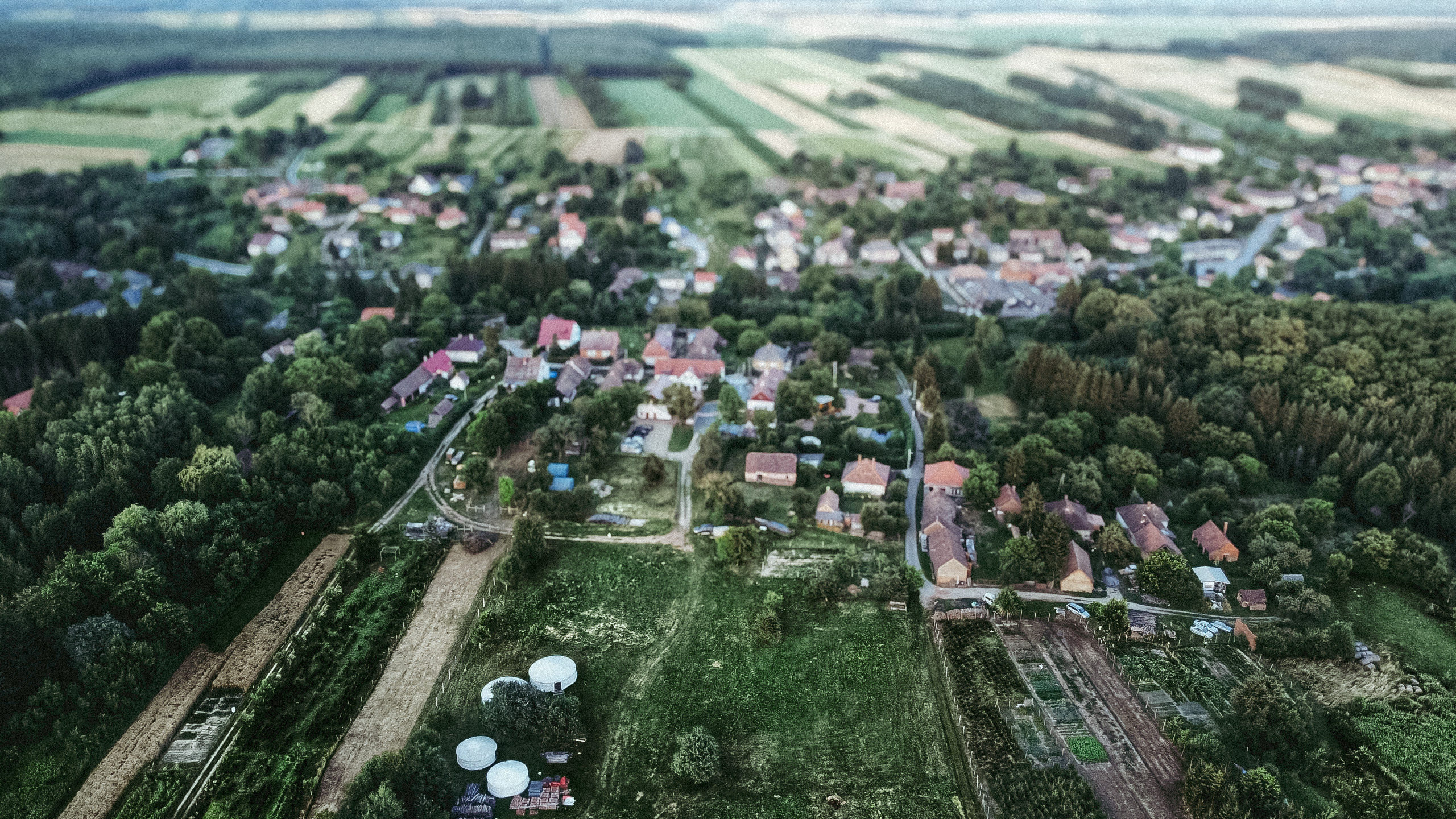 _viszak_nagy